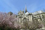 PICTURES/Paris - Notre Dame Cathedral/t_Exterior South8.JPG